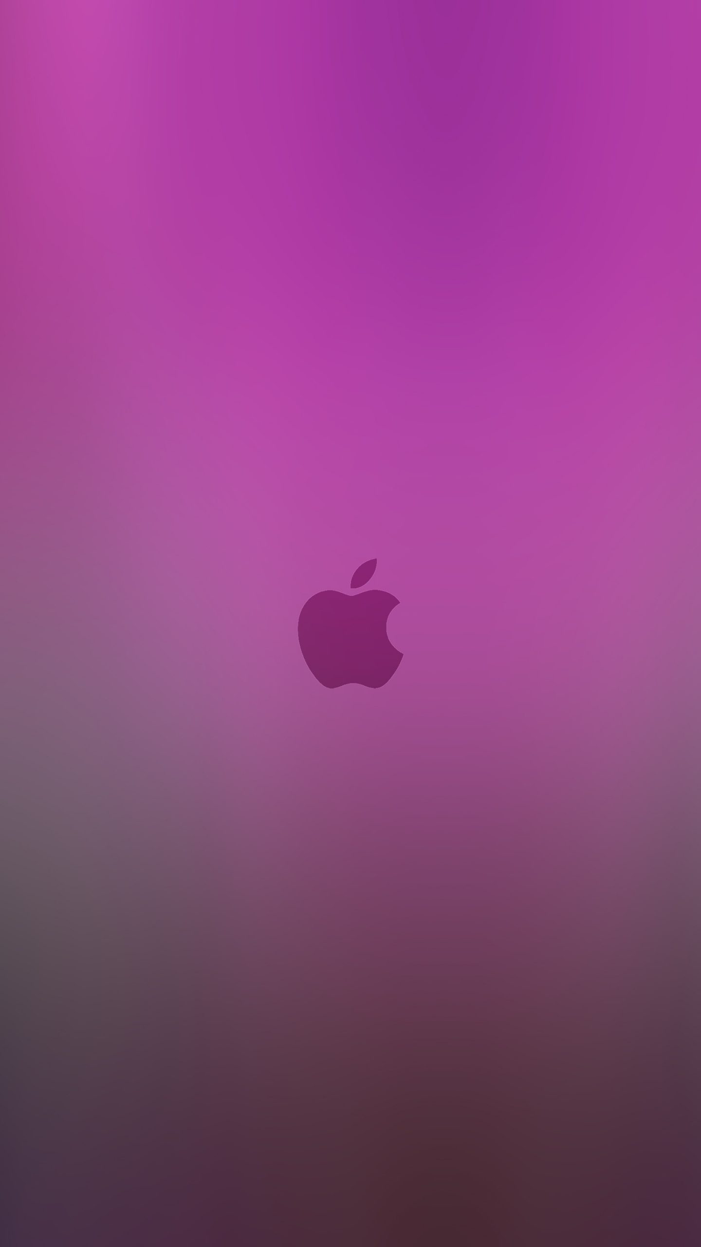Apple Pink Simple Wallpaper HD Wallpapers Backgrounds Images